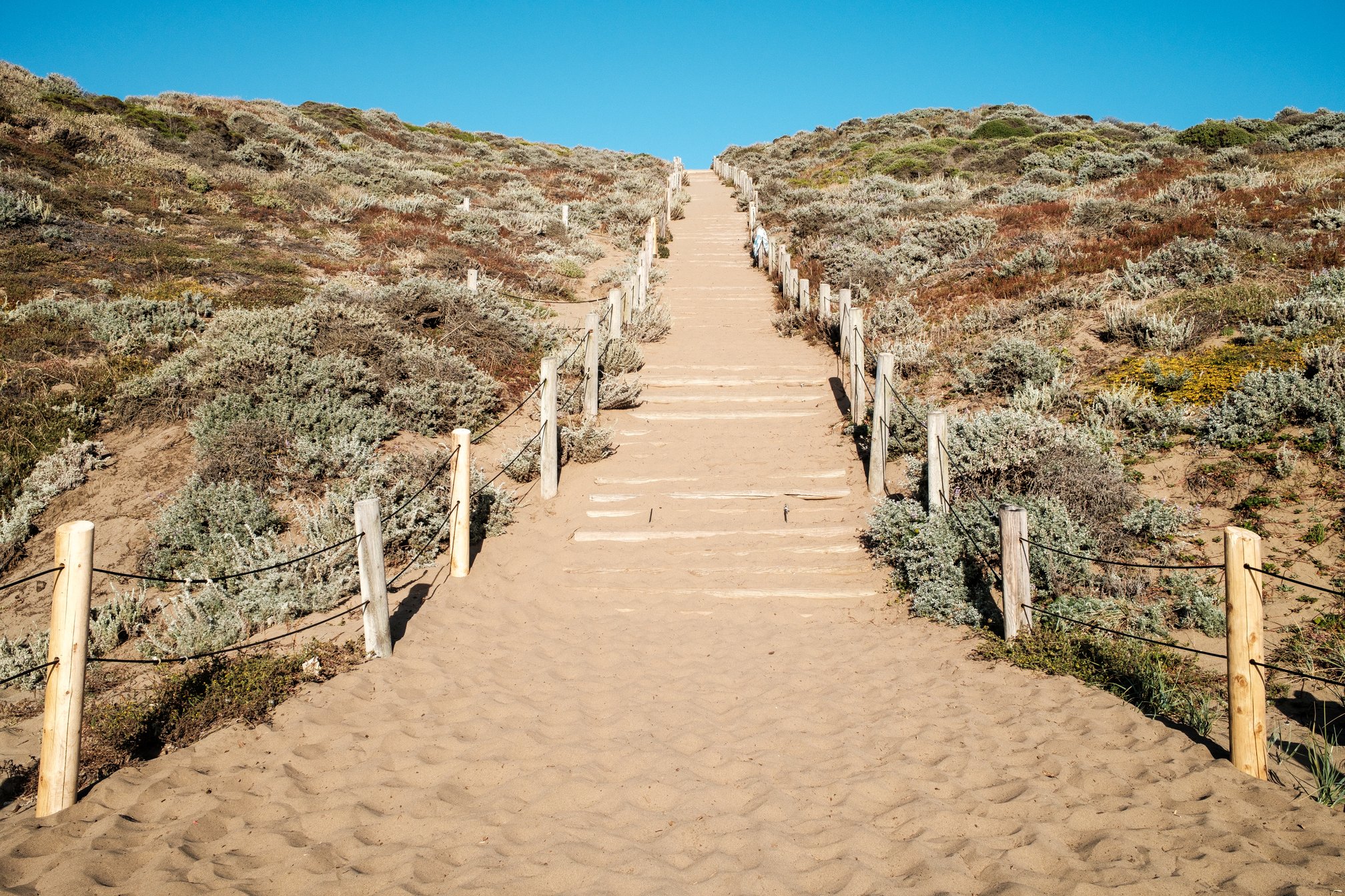 The Sand Ladder at Baker Beach, a staircase made out of wooden logs partially buried in fine sand and flanked by wooden post-and-cable railings on both sides, ascending a steep hill with shrubs and vegetation under a clear blue sky.